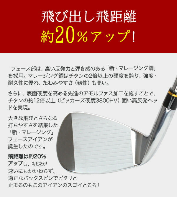 アイアンセット キャビティバック 6本セット NOW310 <br>地クラブ アイアン ゴルフクラブ 飛距離 方向性 スピン ゴルフクラブセット クラブセット オリジナルグリップ 国産 姫路もの 東邦ゴルフ TEAMTOHO メンズ レディース