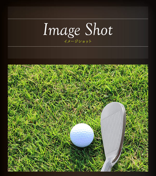 ウェッジ 東邦ゴルフ 匠forged 軟鉄鍛造 ウェッジ N.S.PRO シャフト 42度 44度 46度 48度 PW の代わりにも 純国産軟鉄鍛造 ネジ式 フォージド ピッチングウェッジ アプローチウェッジ サンドウェッジ ロブ・ウェッジ