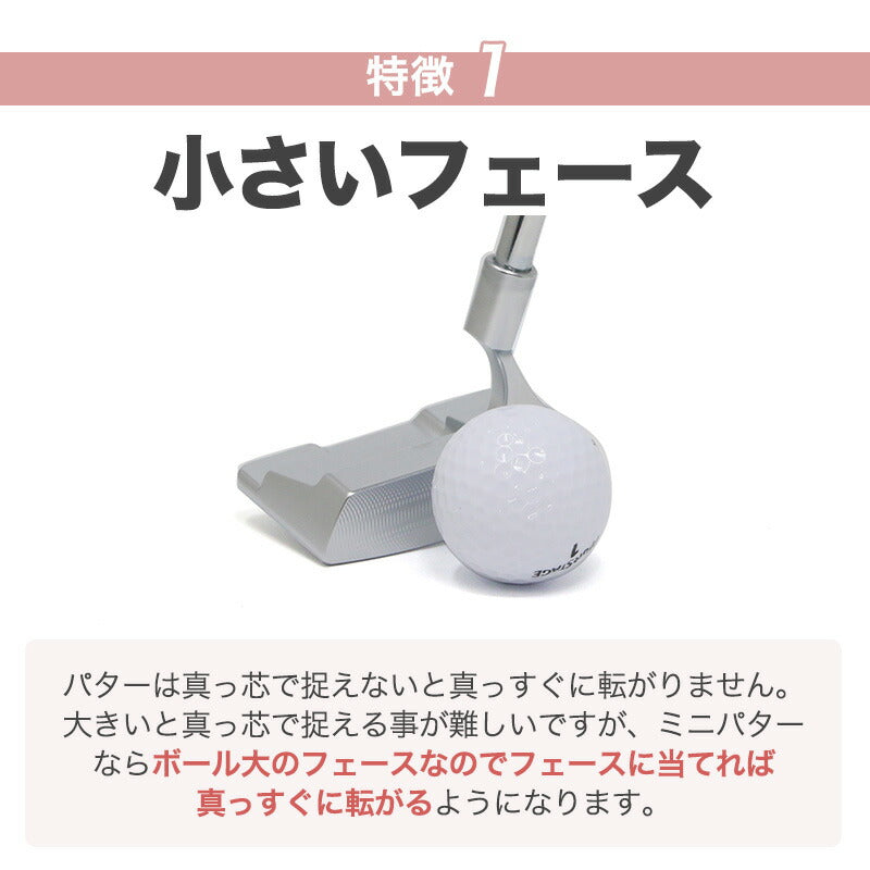 レディース 匠 ミニパター 軟鉄鍛造 スピンコントロール 軟鉄削出し 小型パター 女性用 ALL CNC加工 SCパター要望 ゴルフクラブ golfclub 短尺 32インチ 姫路もの ヘビーヘッド 軟鉄パター 短尺パター 東邦ゴルフ
