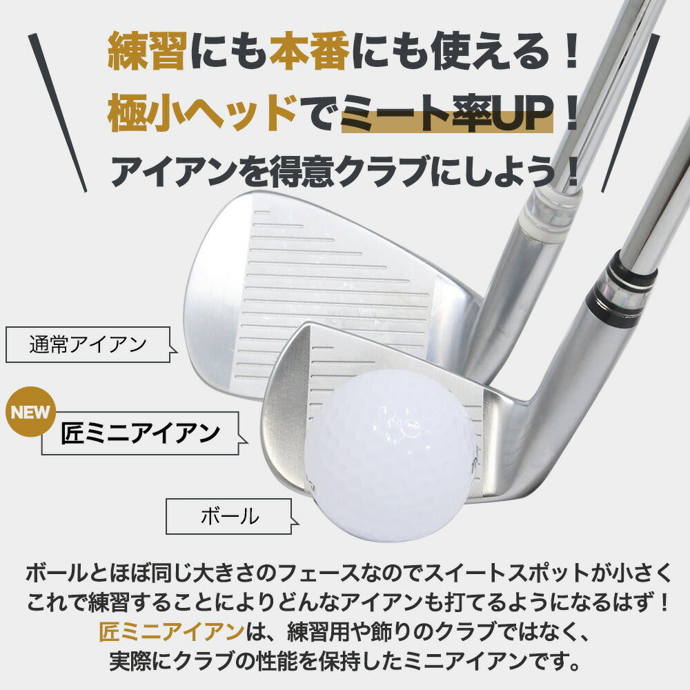 匠ミニアイアン 軟鉄鍛造 極小ミニヘッド 小ぶりヘッド 小型アイアン 練習器具 トレーニング 本番でも使える 42度 35インチ スチールシャフト NS製シャフト 高密度樹脂系グリップ