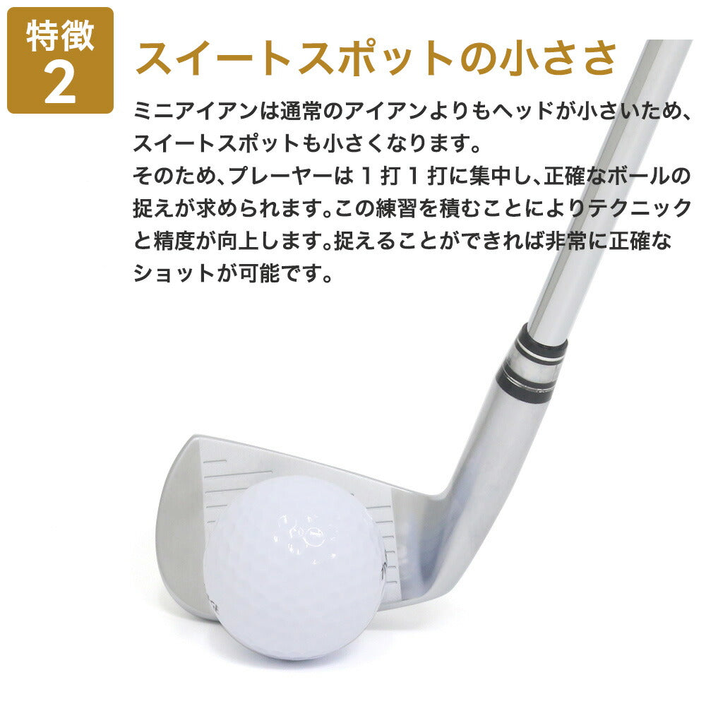 匠ミニアイアン 軟鉄鍛造 極小ミニヘッド 小ぶりヘッド 小型アイアン 練習器具 トレーニング 本番でも使える 42度 35インチ スチールシャフト NS製シャフト 高密度樹脂系グリップ