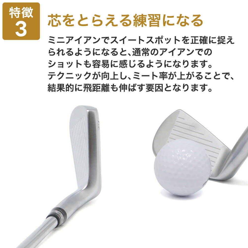 匠ミニアイアン 軟鉄鍛造 極小ミニヘッド 小ぶりヘッド 小型アイアン 練習器具 トレーニング 本番でも使える 42度 35インチ スチールシャフト NS製シャフト 高密度樹脂系グリップ