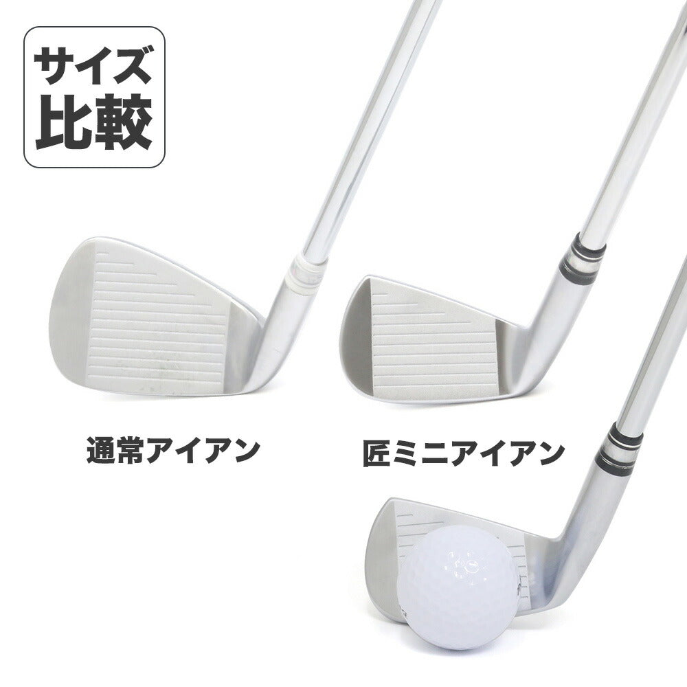 匠ミニアイアン 軟鉄鍛造 極小ミニヘッド 小ぶりヘッド 小型アイアン 練習器具 トレーニング 本番でも使える 42度 35インチ スチールシャフト NS製シャフト 高密度樹脂系グリップ