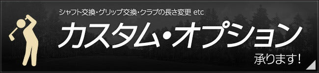 オプション(2,200円分)