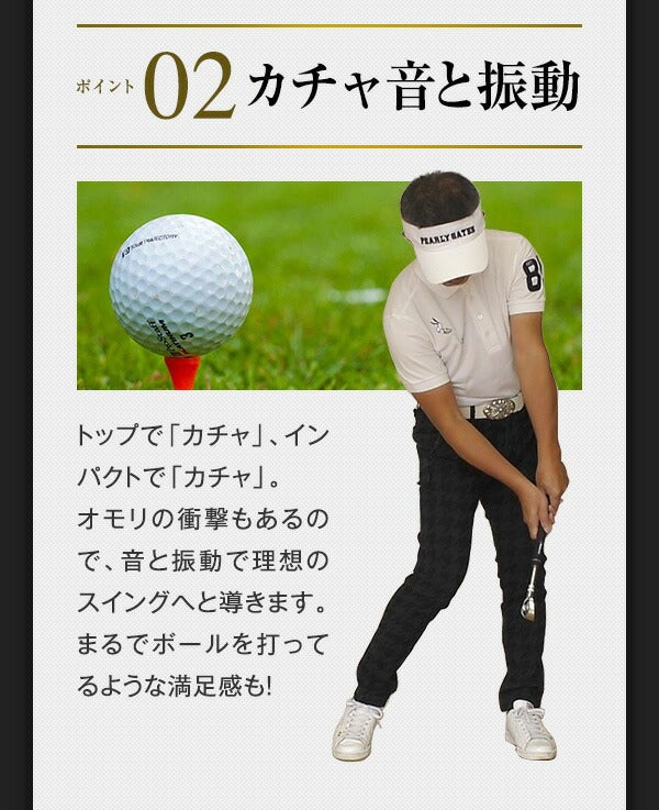 ゴルフ スイング練習 飛距離アップ 練習器具 匠 スイングマスター プロ ヘッド付<br> 自宅練習 練習グッズ 室内 素振り ゴルフ練習 スイング練習器具 インパクト 東邦ゴルフ どこでも練習 自宅で素振り 棒
