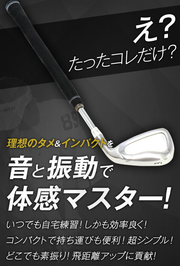 ゴルフ スイング練習 飛距離アップ 練習器具 匠 スイングマスター プロ ヘッド付<br> 自宅練習 練習グッズ 室内 素振り ゴルフ練習 スイング練習器具 インパクト 東邦ゴルフ どこでも練習 自宅で素振り 棒